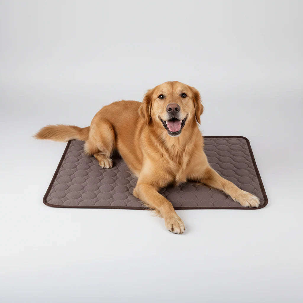Pet bed cover